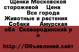 Щенки Московской сторожевой  › Цена ­ 25 000 - Все города Животные и растения » Собаки   . Амурская обл.,Сковородинский р-н